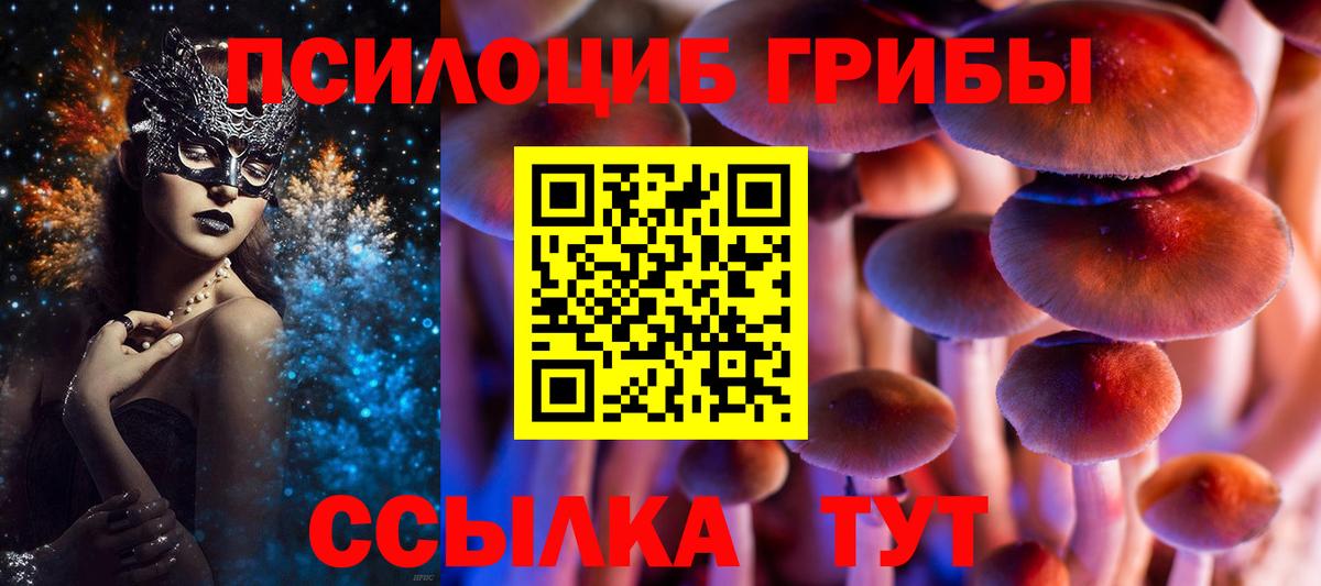 Шатура  Псилоцибиновые грибы ЛСД  Вход с VPN 